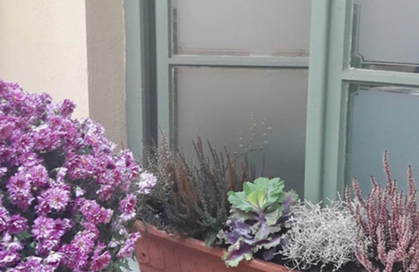 prague concept store fleurs jardin