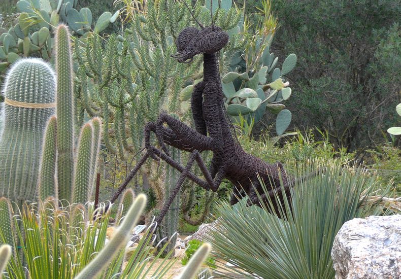 arboretum canet pyrenées orientales parcs jardin cactus