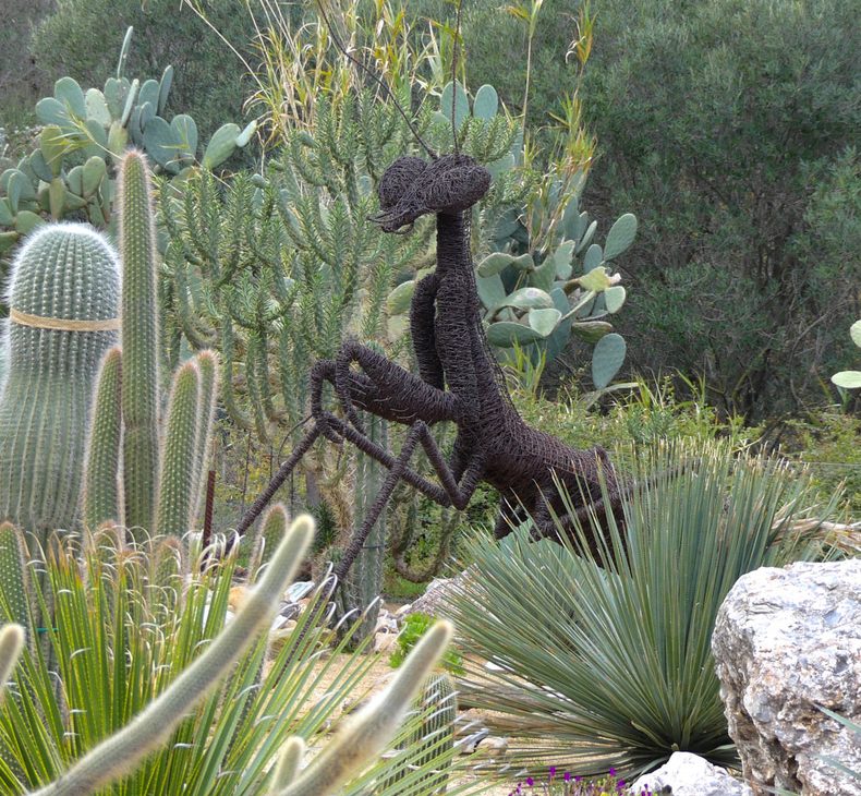 arboretum canet pyrenées orientales parcs jardin cactus