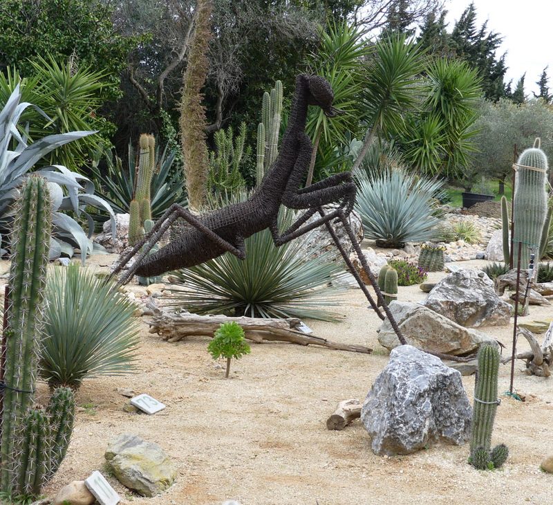 arboretum canet pyrenées orientales parcs jardin cactus