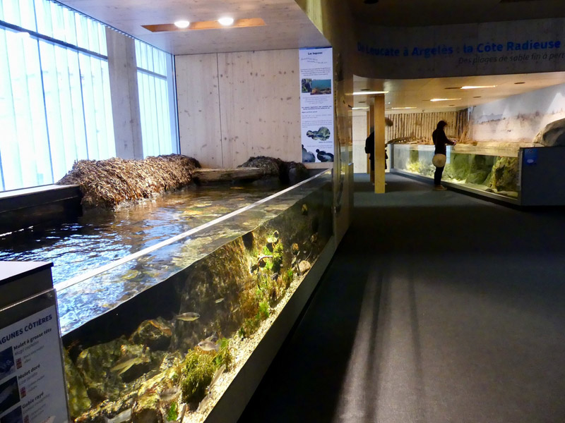 biodiversarium banuyls sur mer occitanie