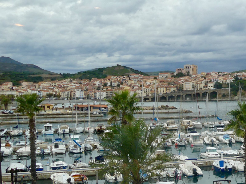 biodiversarium banuyls sur mer occitanie