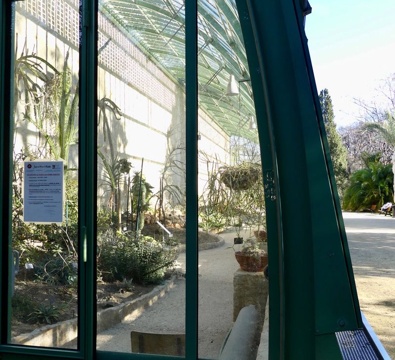 montpellier hérault tourisme jardin des plantes serre