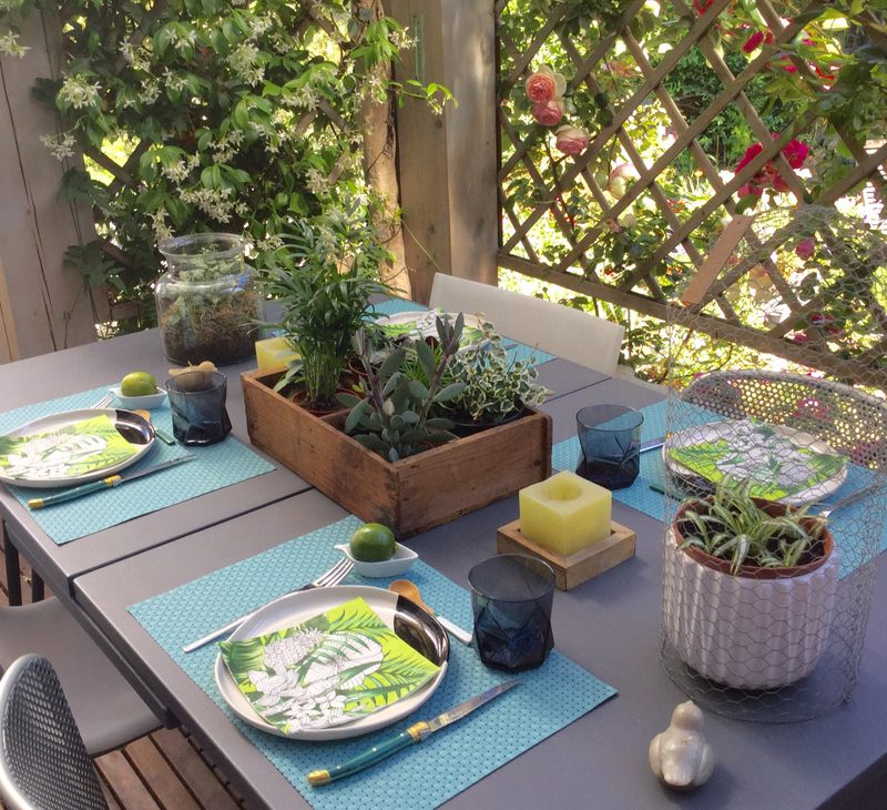 plantes table décoration terrasse