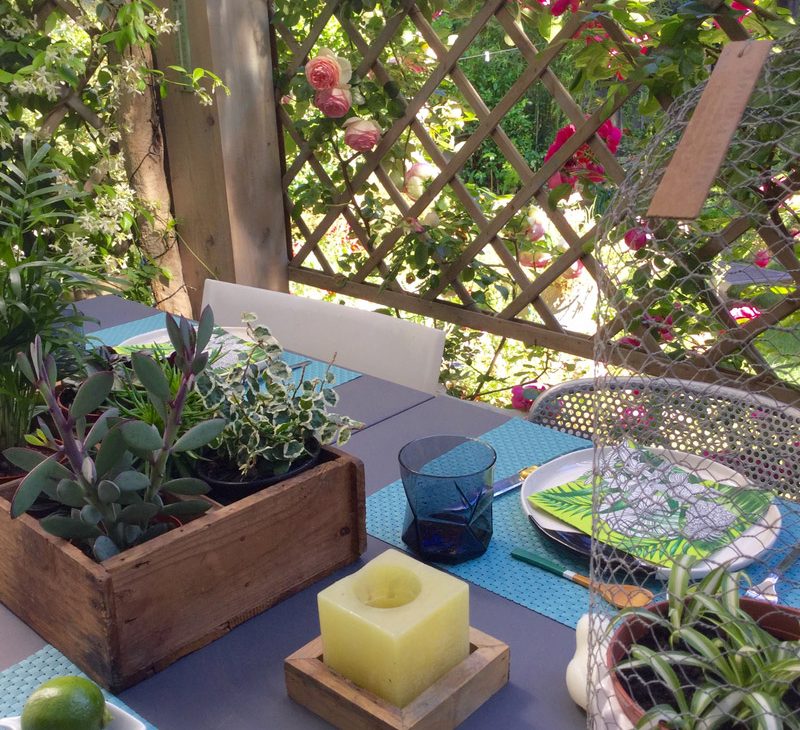 plantes table décoration terrasse