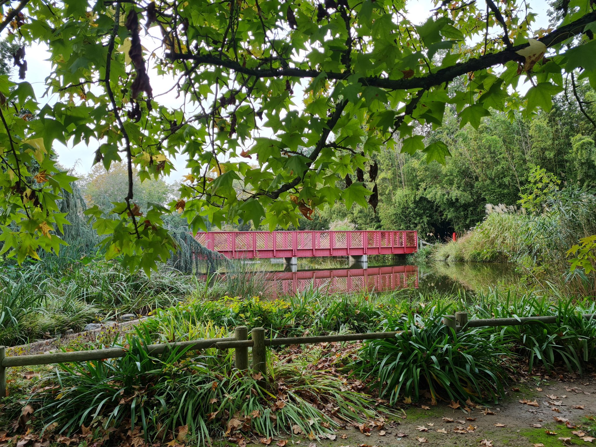 Le jardin des plantes des Capellans - Gris Fluo & Green