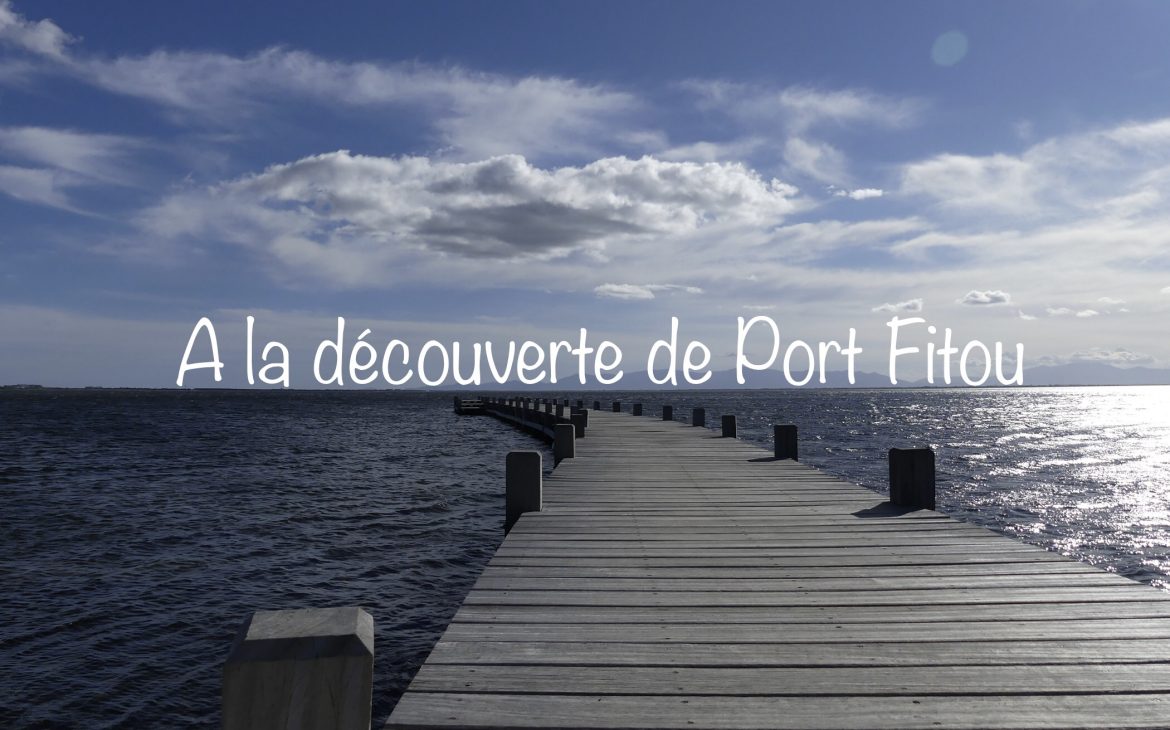Port Fitou