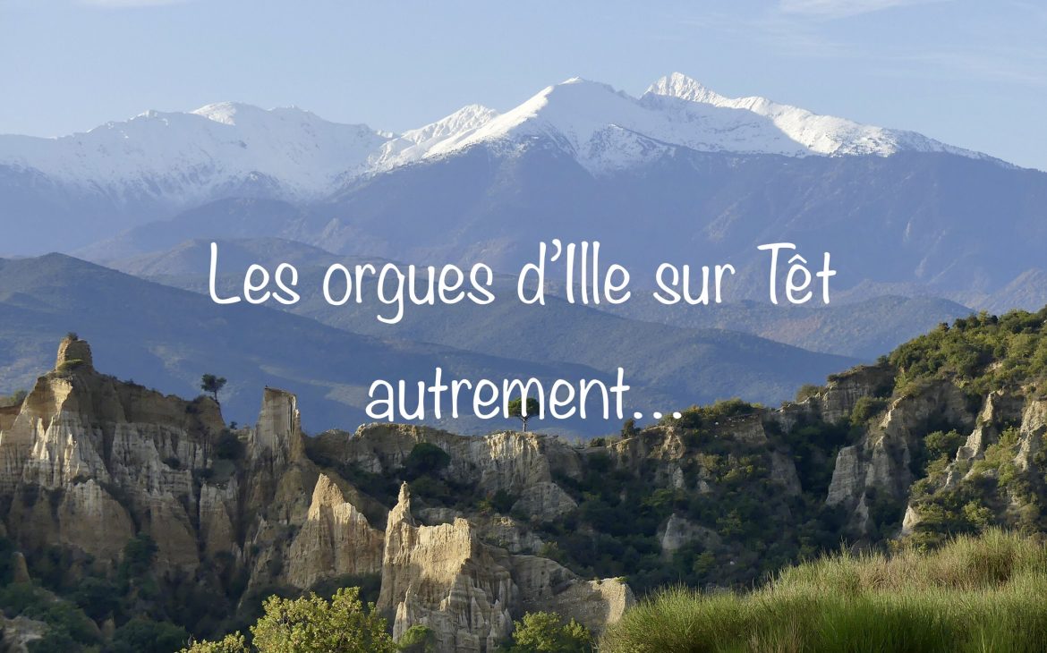 orgues ille sur tet