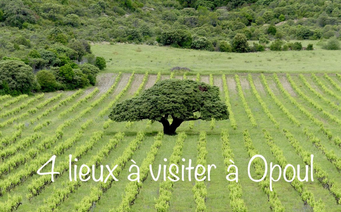 Opoul Corbières