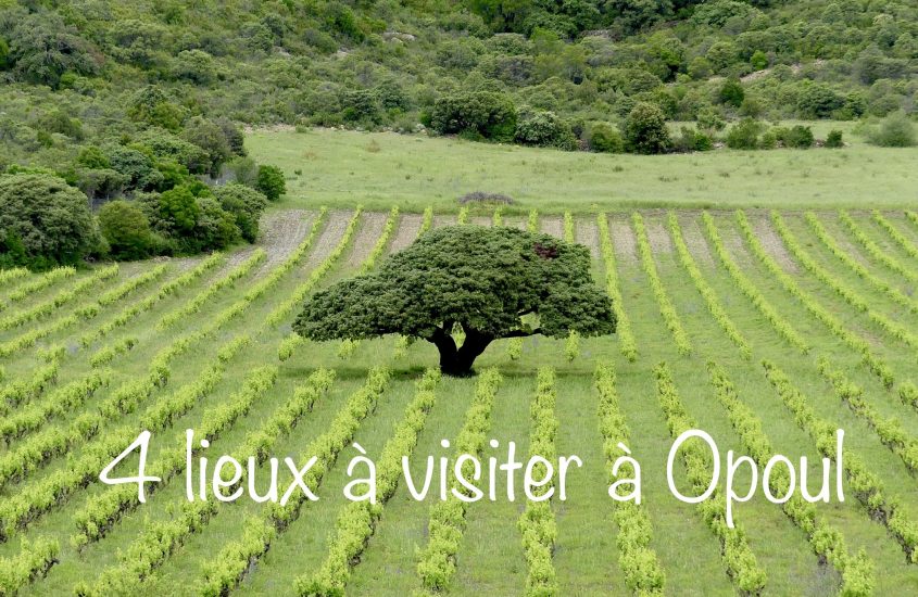 Opoul Corbières