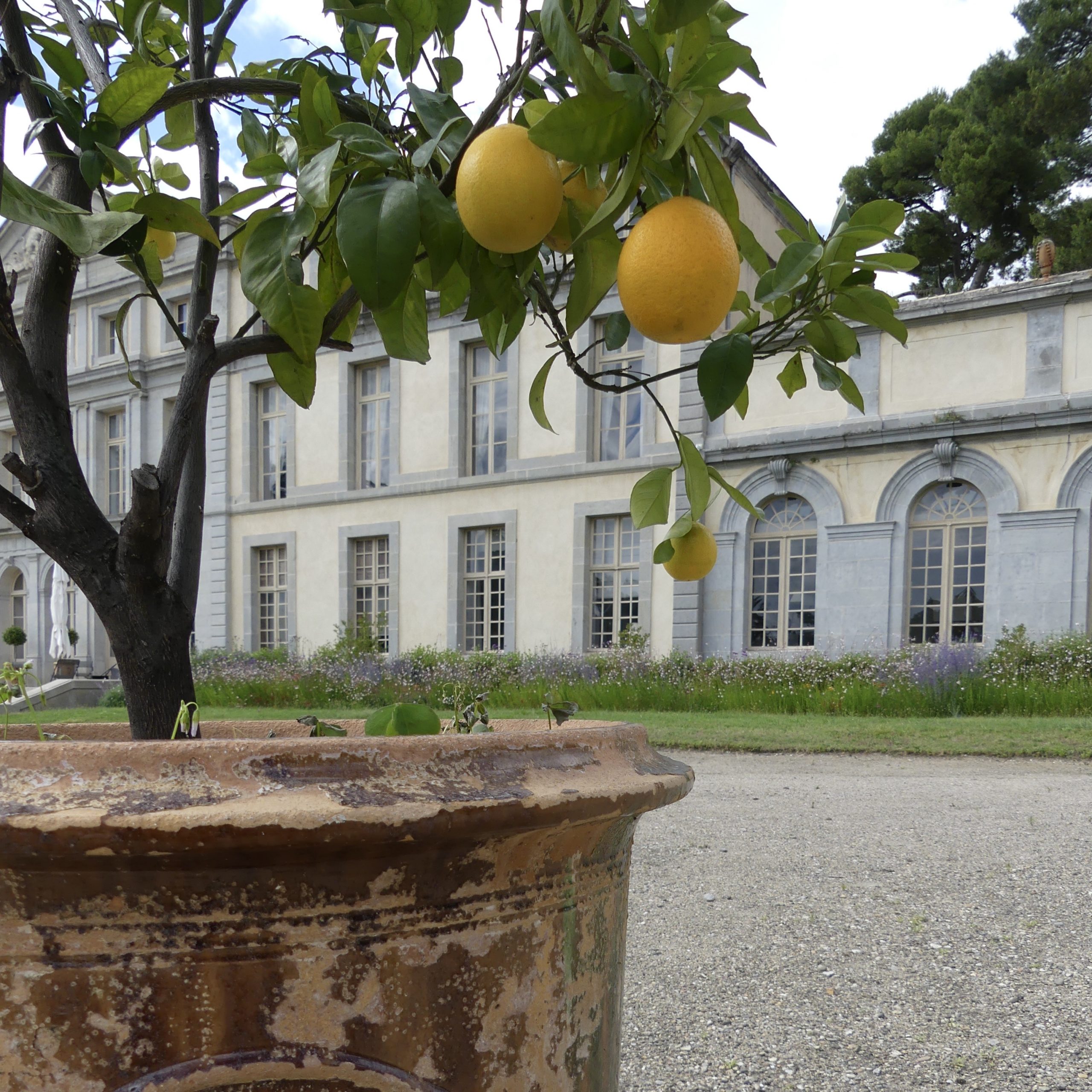 château de Pennautier