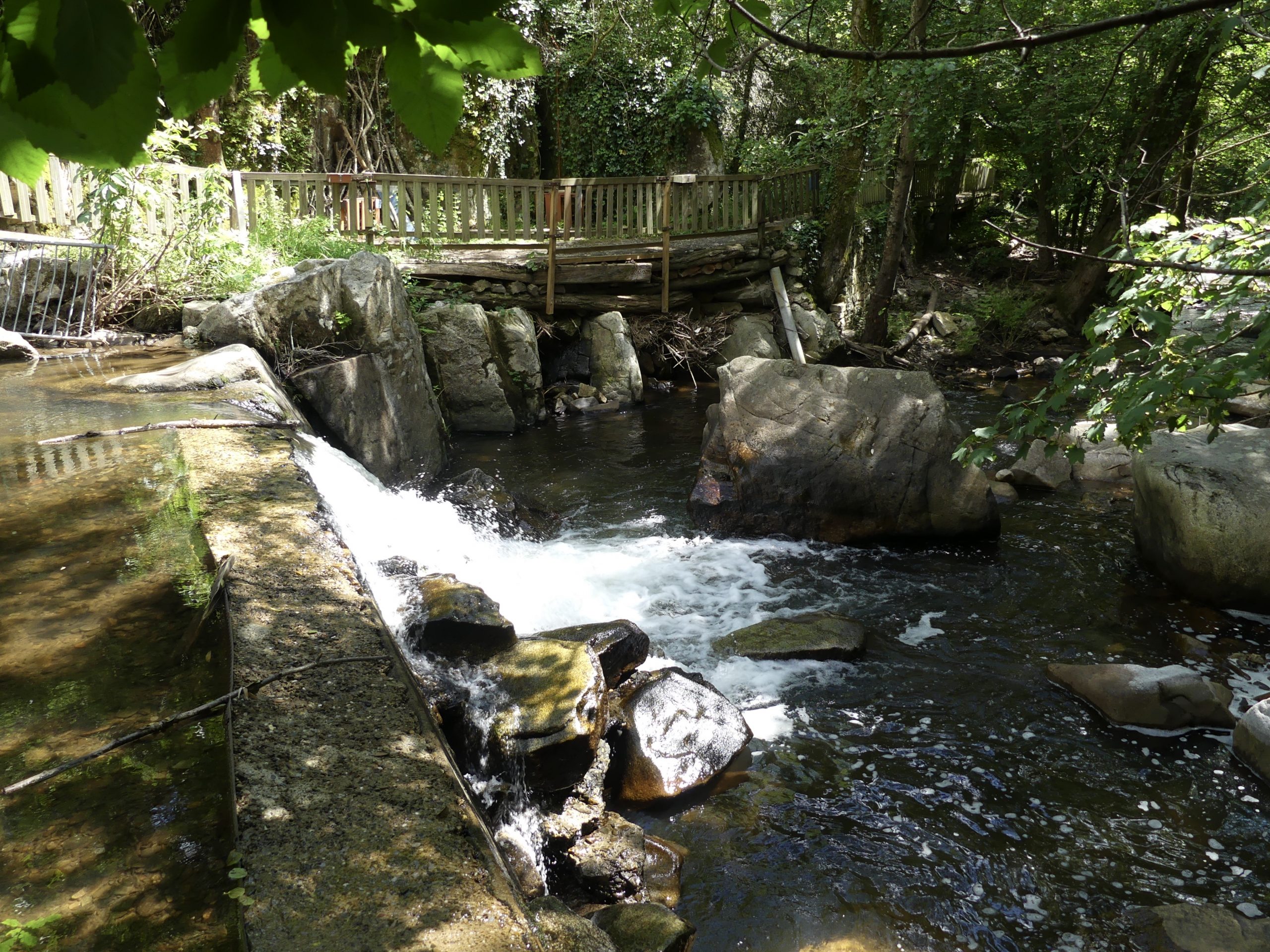 Moulin à papier