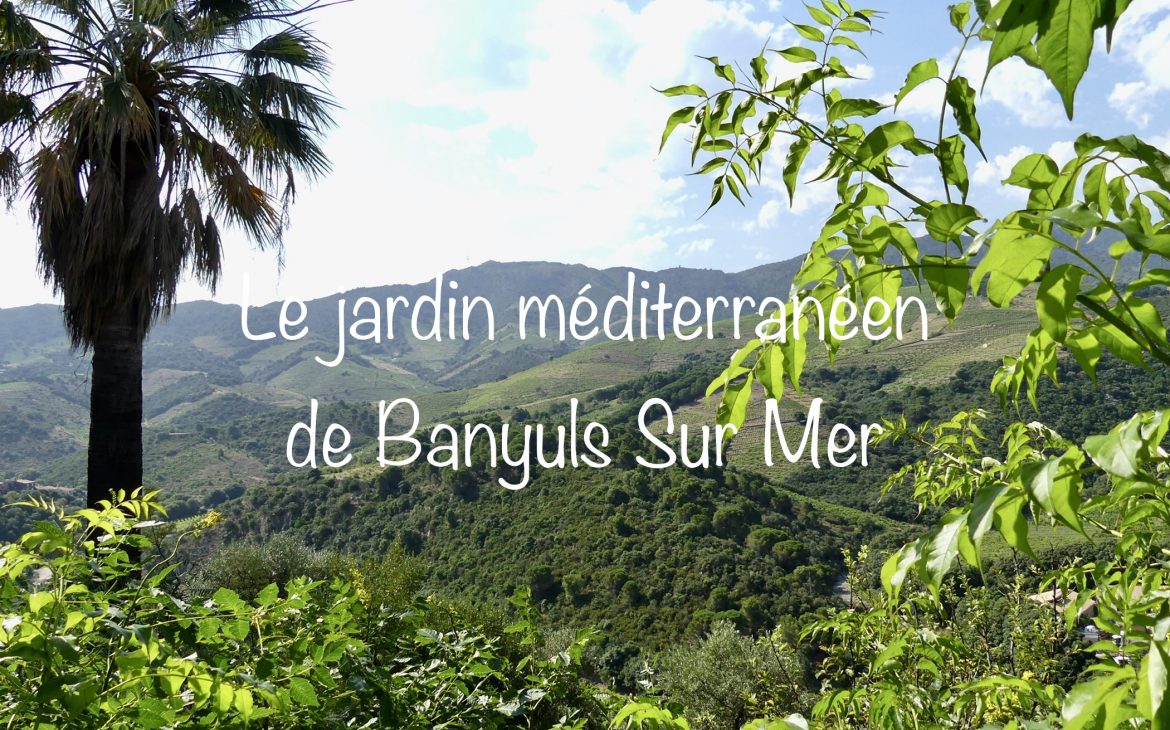 Banyuls sur Mer