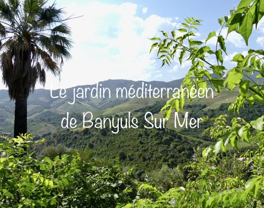 Banyuls sur Mer