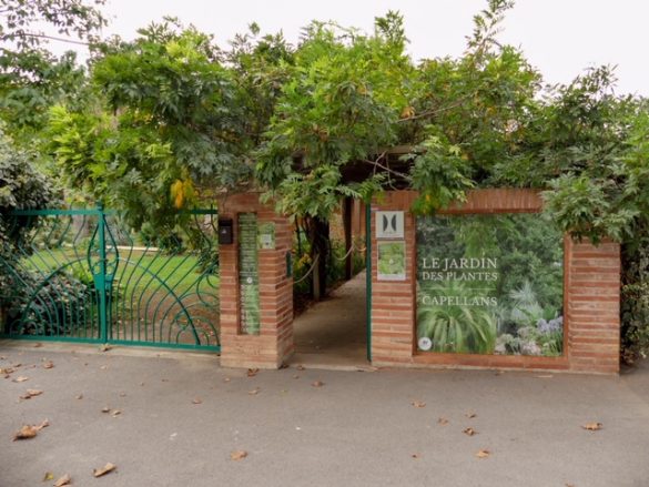 Le jardin des plantes des Capellans - Gris Fluo & Green