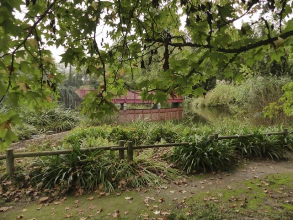 Le jardin des plantes des Capellans - Gris Fluo & Green
