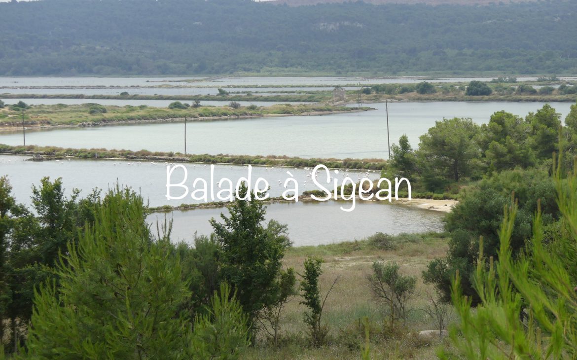 Sigean