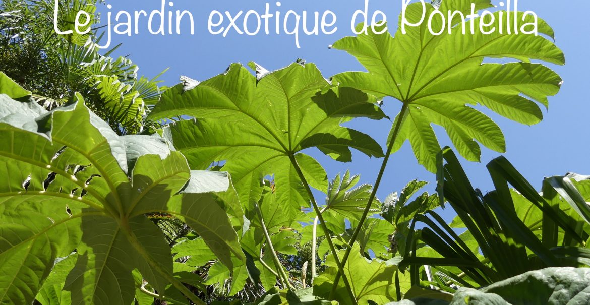 jardin exotique de Ponteilla