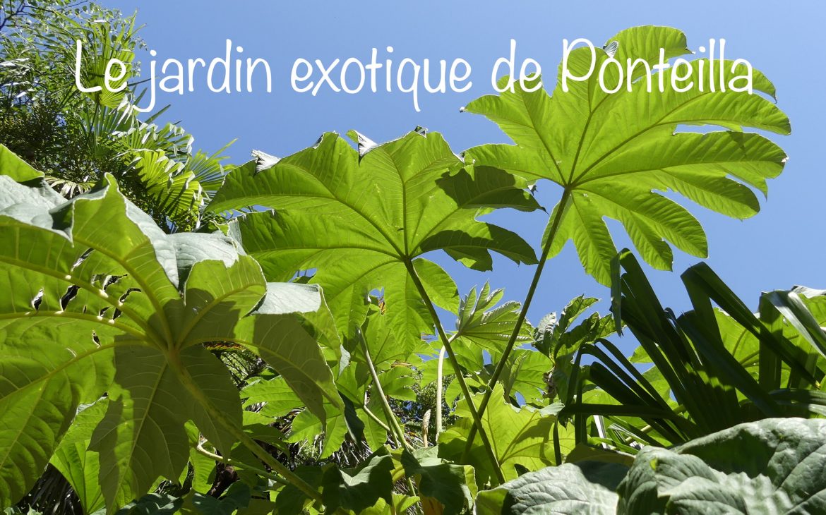jardin exotique de Ponteilla