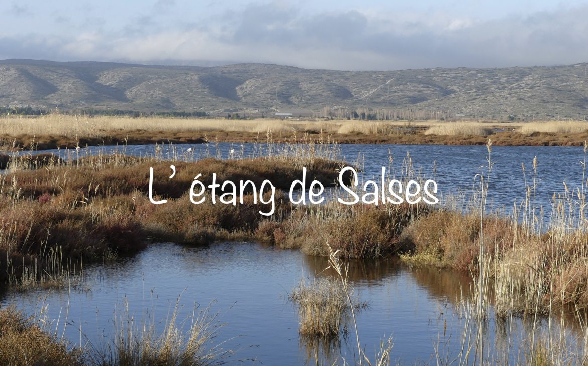 etang salses