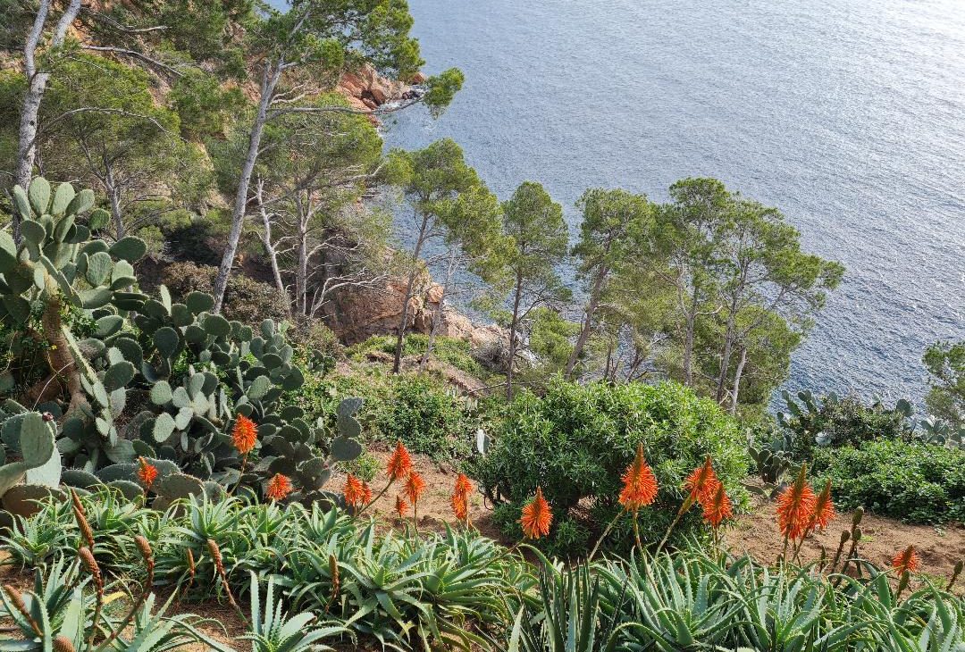 jardin botanique de Cap Roig